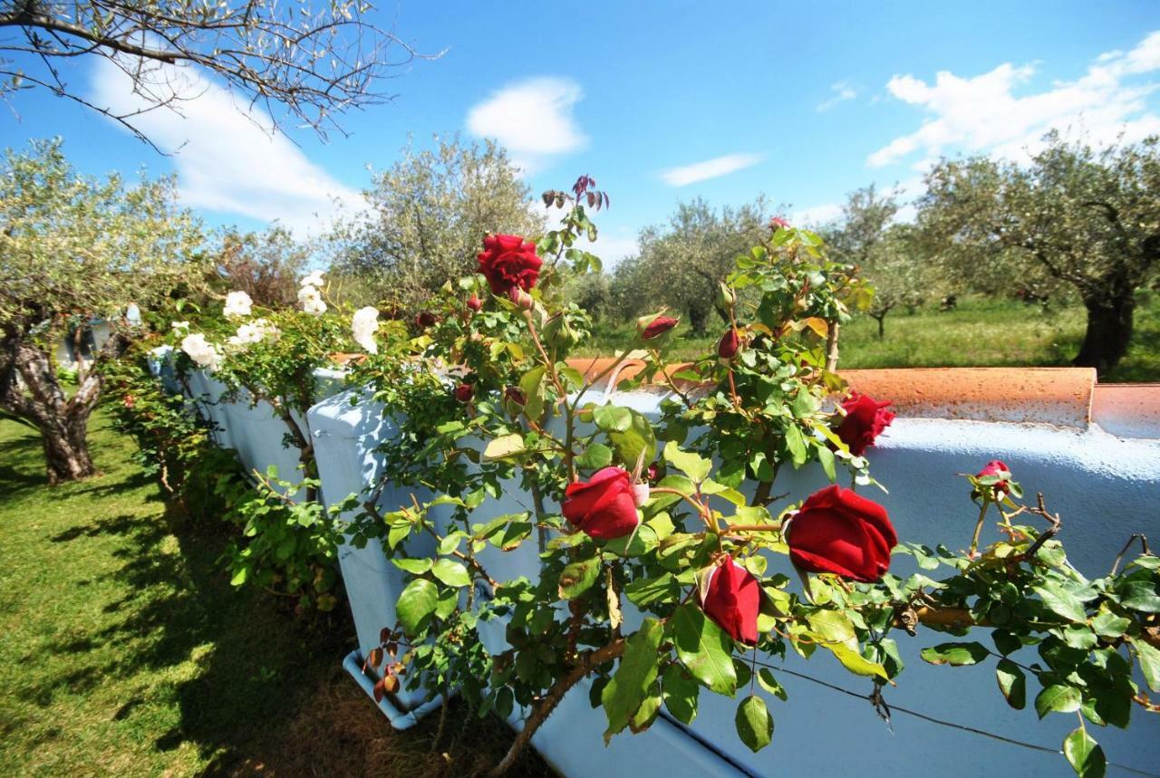 Holiday Residence Rifugio Orosei Εξωτερικό φωτογραφία
